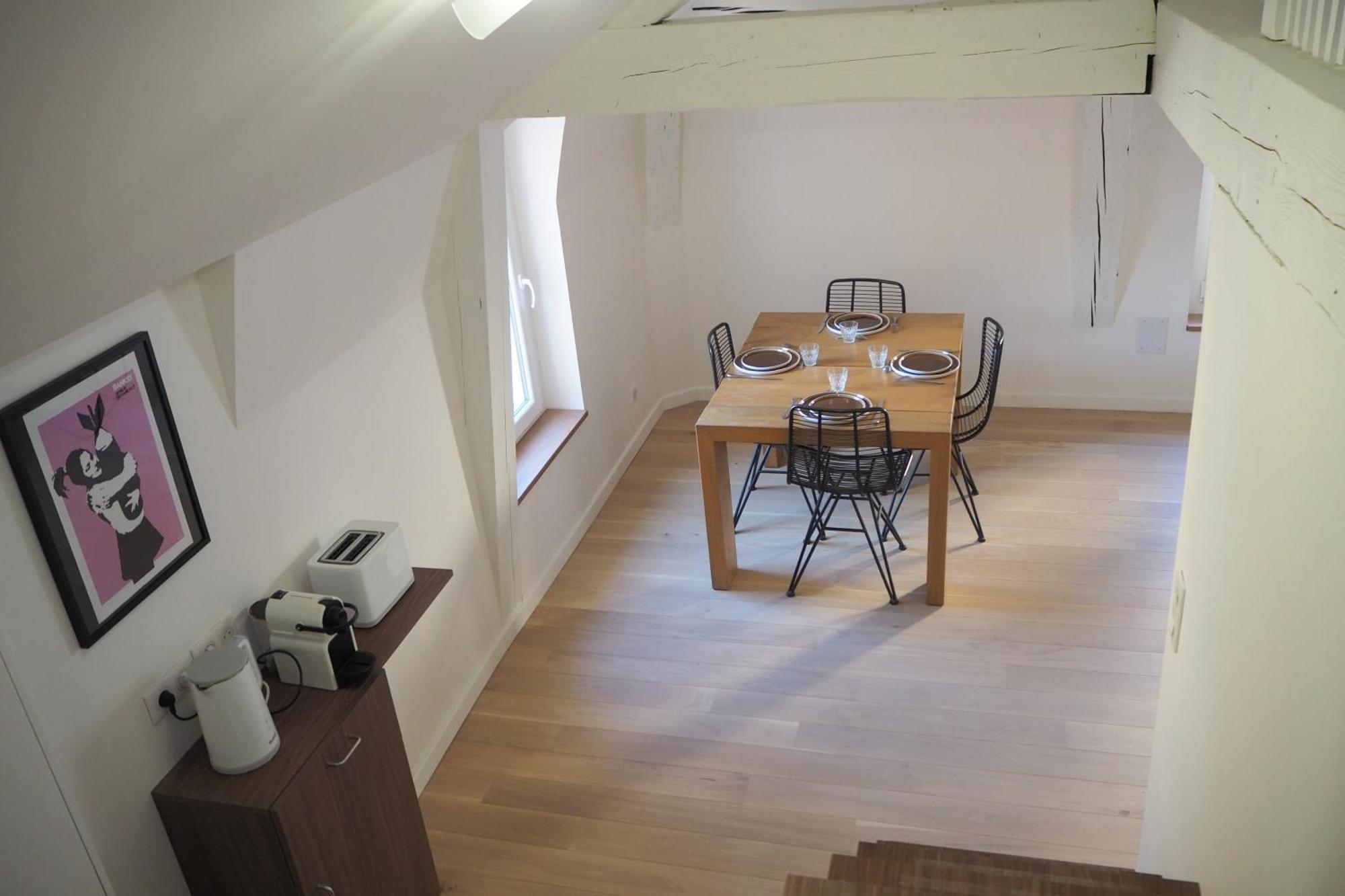Les Baleines - Hypercentre 2 Avec Garage Et Clim - Air Conditioning Apartment Grenoble
